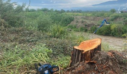 Kuyucak’ta kamu arazisinde ağaç kesimine jandarma müdahalesi