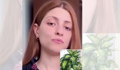 Evlerde sıkça kullanılan bu çiçek zehirliyor