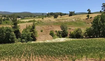 Bozdoğan köylülerinin açtığı davada zafer! Acele kamulaştırma kararının yürütmesi durduruldu