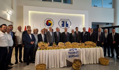 Aydın'da kuru incir sezonu açıldı