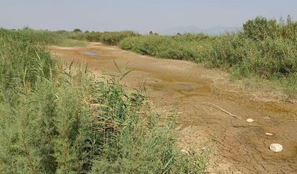 "Menderes kurursa Söke Ovası çöle döner!"