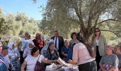Aydın Barosu’ndan Akbelen’e hukuki destek