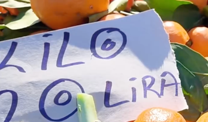 Cumartesi Pazarı'nda bu hafta fiyatlar nasıldı?