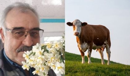 Koçarlı'da bir çiftçi, kayıp hayvanlarını bulana 100 bin lira ödül verecek!