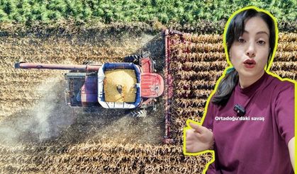 ABD, İsrail ve İran savaşı Aydın'ın tarımını vurdu! Gübre fiyatları artabilir