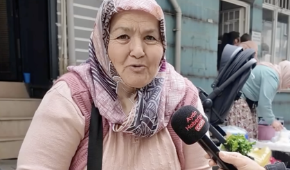 Mis sümbülünü Aydınlı Hacer abla bahçesinde yetiştiriyor