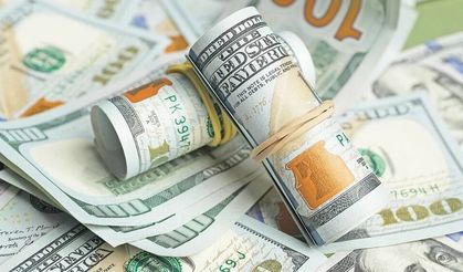 Dolar ve euro yeni haftaya yükselişle başladı!