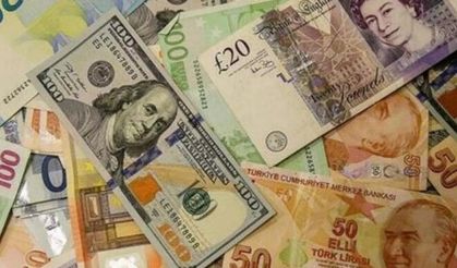 Dolar güne yükselişle başladı