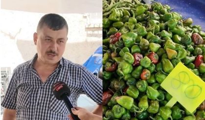 Bu hafta Salı Pazarı’nda fiyatlar nasıl?