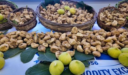 Aydın’da kuru incir 850 TL’den satın alındı