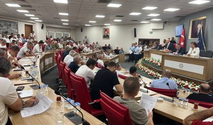 Aydın BŞB Meclisi'nden 'Vektörle mücadele' kararı!