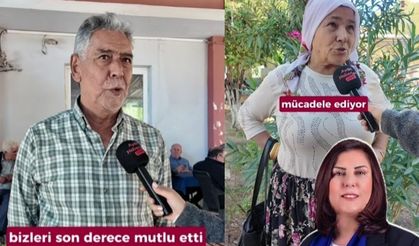 Cincin Mahallesi'ne sarı civciv seferleri başladı!
