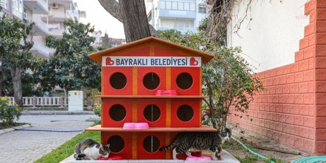 BAYRAKLI’DA SOKAK KEDİLERİ YENİ YUVALARINA KAVUŞTU