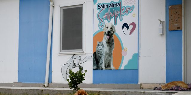 Kuşadası can dostlarını unutmuyor!