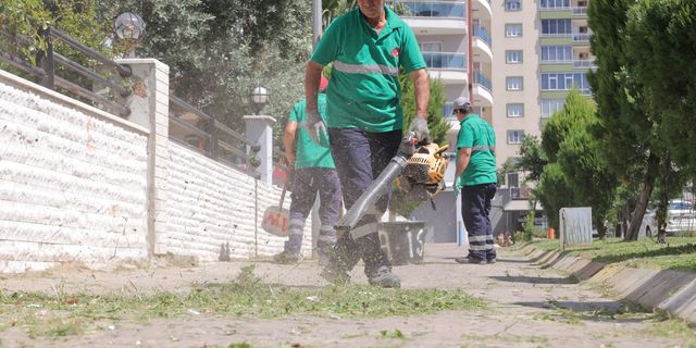Efeler'in yeşil ekipleri parkları tertermiz yapıyor