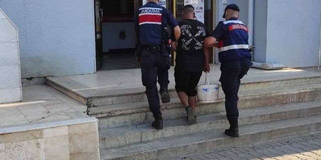 Aydın'da incir hırsızı yakalandı