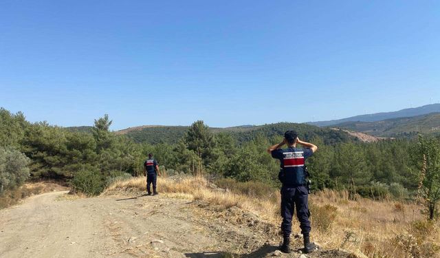 Aydın'da izinsiz ormana giren 12 şahsa para cezası