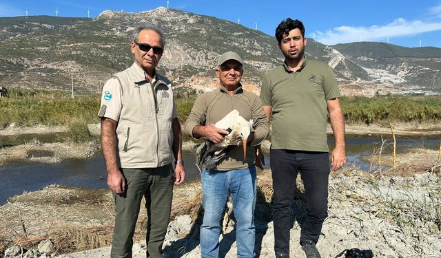 Sofya'dan Kuşadas'ına gelen yaralı leylek doğaya salındı