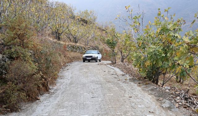 Aydın Büyükşehir Belediyesi Ilıdağlılar'ın hayatını kolaylaştırdı