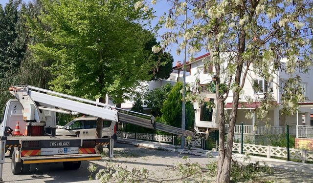 Başkan Çerçioğlu'nun çalışmaları ile Kuşadası yaz sezonuna hazırlanıyor
