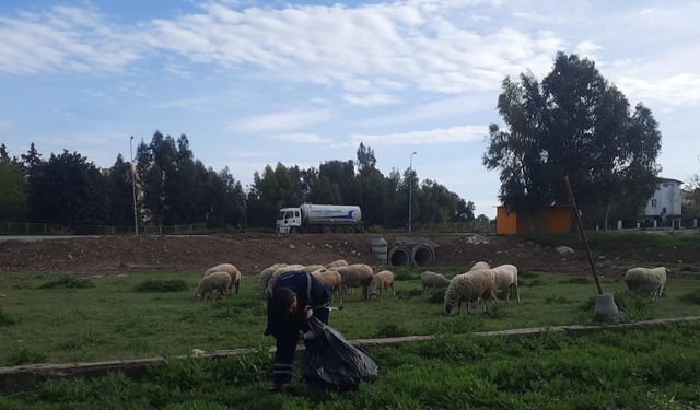 Didim'de Fevzipaşa Mahallesi baştan sona temizlendi