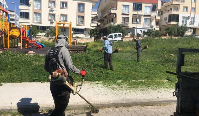 Didim Belediyesi’nden Efeler Mahallesi’nde Park Temizliği