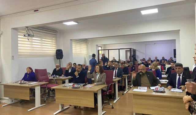 Efeler'in meclisinde tansiyonu yükselten eleştiri