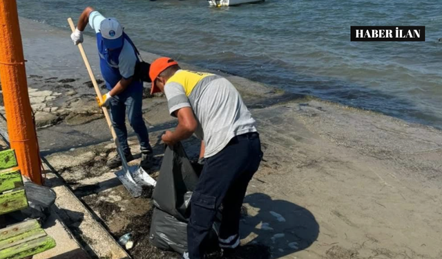 Didim Belediyesi'nden Mavişehir Sahili'ne temizlik dokunuşu