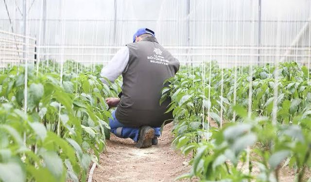Başkan Çerçioğlu'nun tarıma ve üreticilere destekleri sürüyor