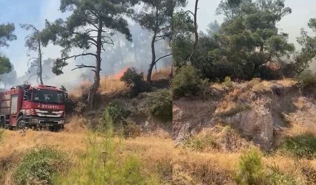 Efeler'de dağlık bölgede yangın çıktı!