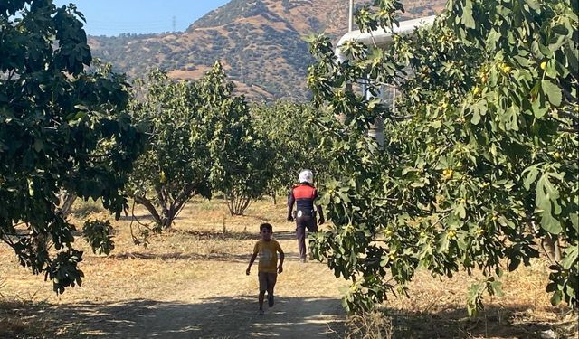 Aydın'da üreticiler incir hırsızlıklarına karşı bilgilendirildi