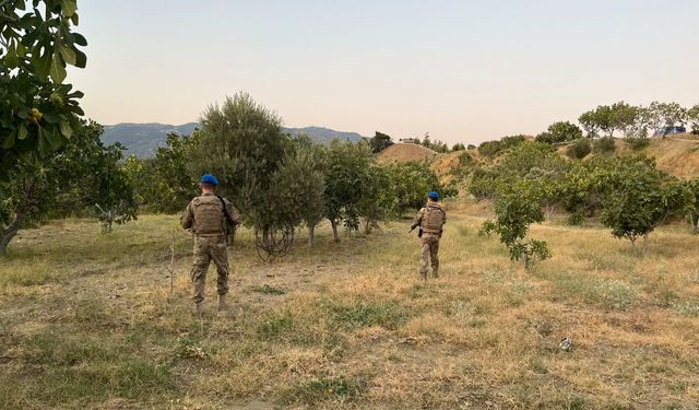 Aydın'da incir hırsızlarına geçit yok