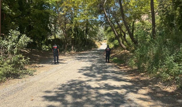 Aydın'da orman yangınlarına karşı sıkı tedbir