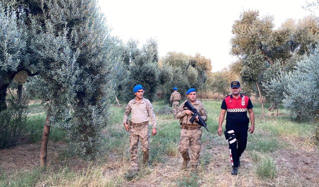 Jandarma'dan Efeler'de tarımsal ürün hırsızlıklarına karşı denetim!