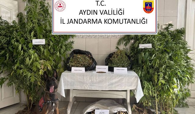 Aydın'da 12 şüpheli şahıs yakalandı