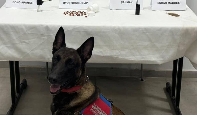 Aydın'da uyuşturucu operasyonu!