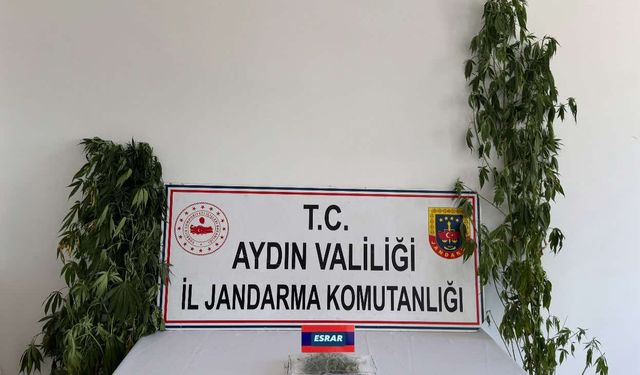 Aydın'da uyuşturucu operayonunda 13 şüpheli yakalandı