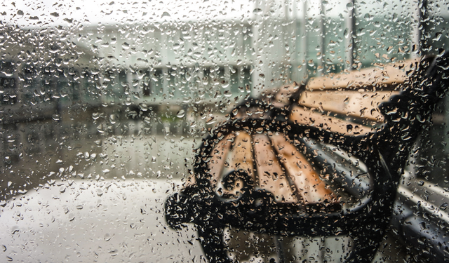 Aydın'da bugün kuvvetli yağış etkili olacak