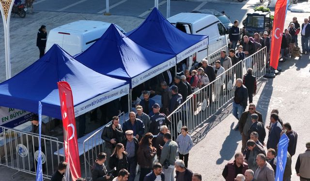 Koçarlı’da kışlık fide dağıtımına vatandaşlardan yoğun ilgi