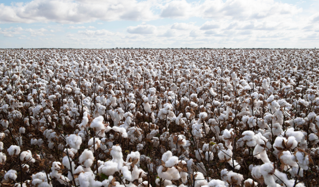 Başkan Çondur: "Üreticilerimizin yükselen ortak sesi dikkate alındı"