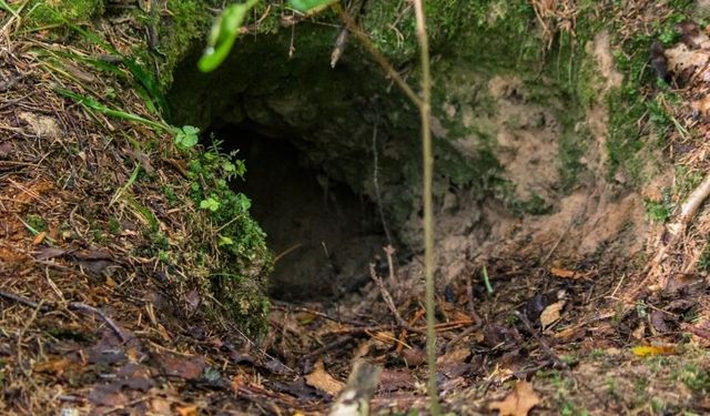 Efeler'de kaçak kazı yapan bir şahıs mahsur kaldığı tünelde hayatını kaybetti