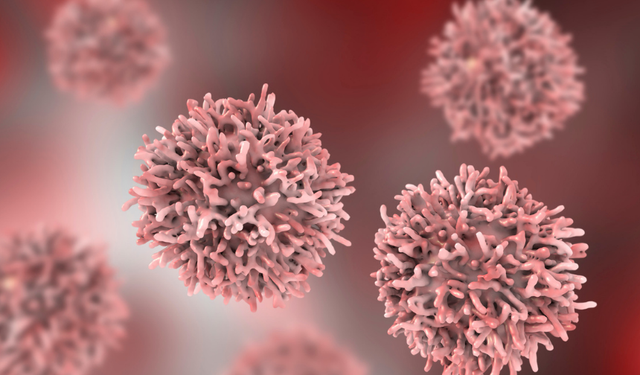 Türkiye’nin kanser haritası güncellendi! Aydın sonlarda...