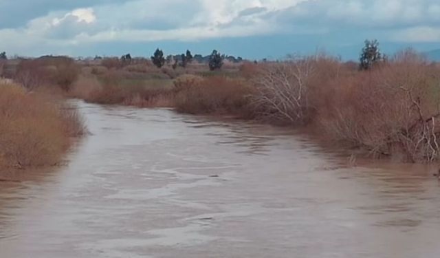Menderes Nehri, son yağışların ardından taşma noktasına geldi!