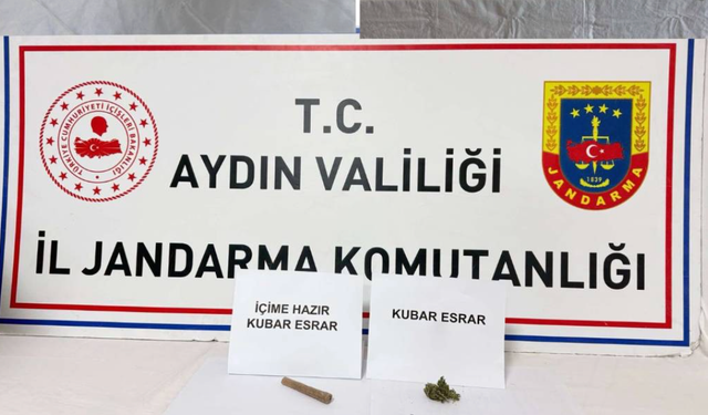 Aydın’da uyuşturucu operasyonu: 10 tutuklama