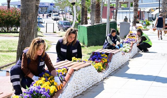 Başkan Çerçioğlu Altınkum'u rengarenk çiçeklerle süslüyor