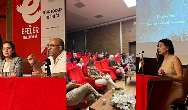 Uzman isimler Çine'deki kuvars ve feldspat madenciliğinin yarattığı yıkımı konuştu!