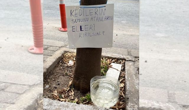 Sokak kedilerinin suyu için isyan etti: Ağaca astığı not dikkat çekti