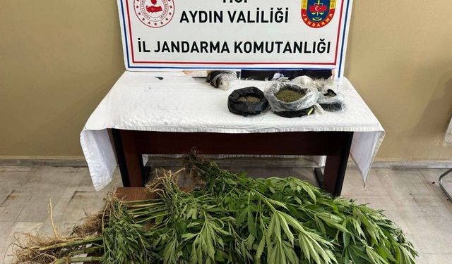 Efeler’de uyuşturucu ve yasa dışı kenevir operasyonu