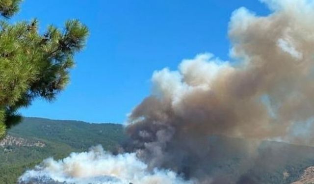 Çine’de yangınla mücadelede su tankeri olan vatandaşlardan destek çağrısı!