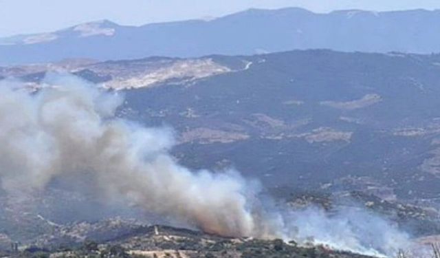 Bakan Kurum açıkladı: Aydın'da 20 bağımsız bölüm ağır hasarlı